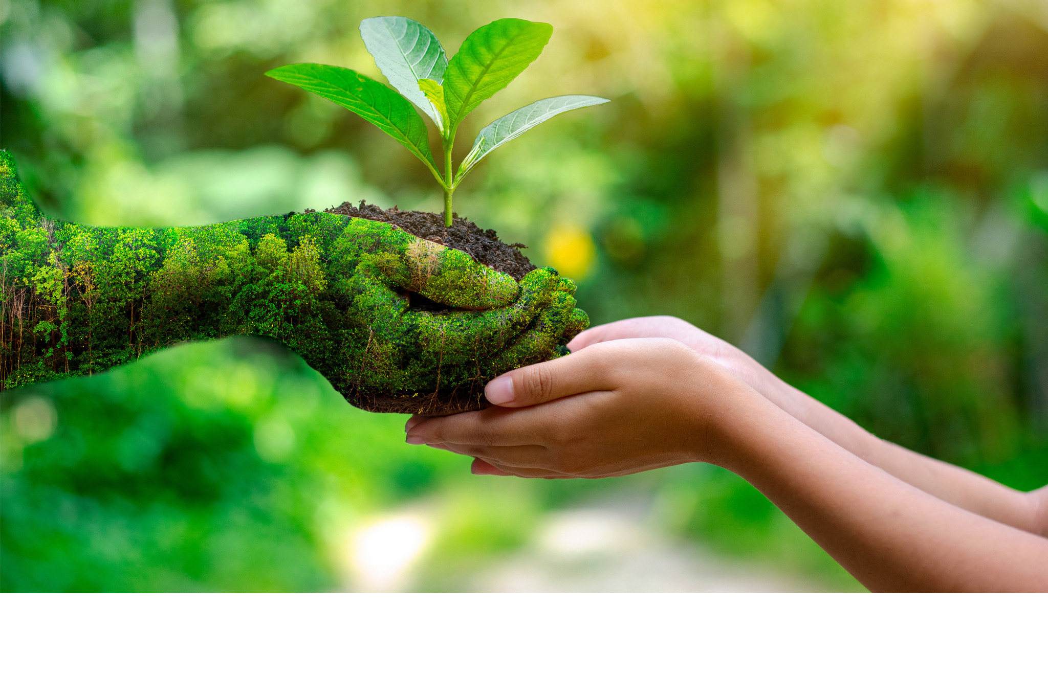 AST Sealing Solutions Environment and Climate